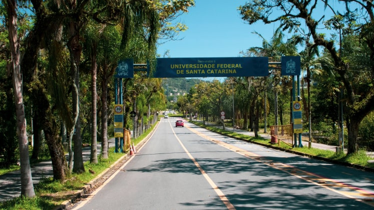 Trindade & Universitária